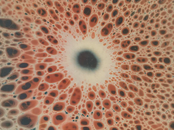 Cellular microscopy