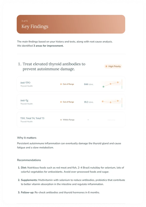 Kyma Action Plan — Key Findings